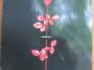 LP  -  DEPECHE MODE  =  VIOLATOR ...........................................1990