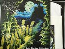 Cruel Force - Under The sign OF The Moon LP 1st press Nifelheim