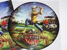 Iron Maiden 'The Evil In Florida' Pic LP Picture Disc Vinyl w Cover 250cop NM/NM