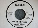 The Wild Ones I've Been Crying / A Little Bit Of Soul S.P.Q.R 3316 Promo VG