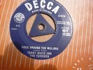 Terry White & the Terriers-Rock around the Mailbag-TRI DECCA 11133 in EX Cond:
