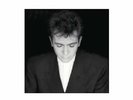 Peter Gabriel, Shaking The Tree.  140 Gram, LP  