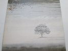 GENESIS 'WIND AND WUTHERING' ORIG PRESS '76 ARCHIVE COPY MINT