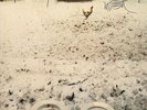 WOLF VOSTELL: Dé-coll/age Musik LP RARE Fluxus Broken Music avant experimental