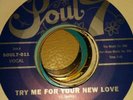 JUNIOR McCANTS - TRY ME FOR YOUR NEW LOVE