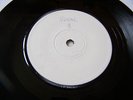 SETTERS - WIDE AWAKE IN A DREAM / INST ** RARE WHITE LABEL BLANK **