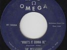 Northern Soul 45 - Petersons - What's It Gonna Be - Mel Omega - mp3 - rare