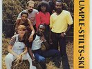 RARE OHIO SOUL FUNK BOOGIE LP/ RUMPLE-STILTS-SKIN 