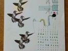 FOALS - Live - 2007 UK Transgressive Records Limited Edition 12