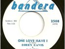 BOBBY DAVIS & BIG 