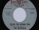 Sweet Soul 45 MARVELLS Cause I'm Loving You FINER ARTS HEAR