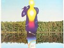 Apocalypse  Mahavishnu Orchestra With The London Symphony Orchestra,  Michae