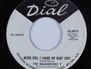 Northern/Sweet Soul 45 MAGNIFICENT 7 Never Will I DIAL VG+ HEAR