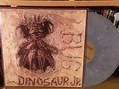 DINOSAUR JR. Bug ORIG SST MARBLE LP rare INDIE PUNK ROCK 80s 90s J Mascis Dino