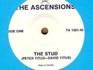 THE ASCENSIONS: The Stud 45 private punk/powerpop hear