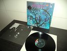 AMON DÜÜL II Vinyl LP  