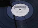  Super Furry Animals Slow Life Promo 12