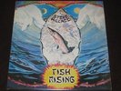 Steve Hillage rare '75 UK press LP Fish Rising on Virgin mint- * canterbury prog