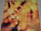 STEAMHAMMER (1st, REFLECTION) SCARCE ORIG UK 1969 A1/B1 EX++ LP, IMPRESSIVE COPY