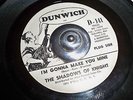 US GARAGE / MOD / FUZZ - I'M GONNA MAKE YOU MINE / THE SHADOWS OF KNIGHT