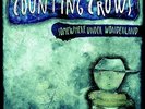 Somewhere Under Wonderland - COUNTING CROWS [LP]