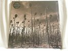 DEAD CAN DANCE Anastasis Lisa Gerrard 180 gram CLEAR vinyl SEALED 2 LP