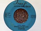 COMPASS That's Enough for Me/(You Are) Spring of My Life PRIVATE FUNK/MOD SOUL