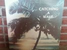 Catching A Wave - Steve & Teresa - RARE PRIVATE LABLE LP - KP101 Kealohi - NM