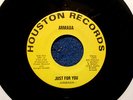ARMADA -Just for You PRIVATE garage / proto-punk from MASS. high school band NM