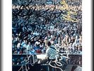 BRUCE SPRINGSTEEN & E-STREET BAND - FULL BAND - ORIGINAL HAND SIGNED AUTOGRAPHS
