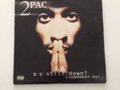 2 PAC Tupac 2PAC R U STILL DOWN ?REMENBER ME 3 LP