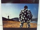 PINK FLOYD / DELICATE SOUND OF THUNDER 2LP