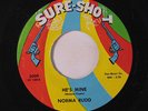 NORMA RUDD: He's Mine / Something Keeps Telling Me 45 rare Soul