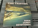 The Triffids ?– Born Sandy Devotional 12