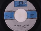 RAY & BLUE SATINS: She Doesn't Love Me / Thank You For The Memories 45 (flip is