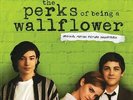 Perks of Being a Wallflower (Original Motion Picture Soundtrack) (LP)
