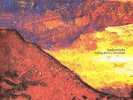 TINDERSTICKS-FALLING DOWN MOUNTAIN-VINYL LP CONSTELLATION NEU