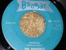 PRIVATE 1964 WI Garage Punk 45 - THE SHANDELLS 