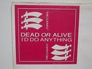 DEAD OR ALIVE I'D DO ANYTHING (MEGAMIX) 12