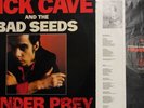 NICK CAVE And The BAD SEEDS - UK Orig. LP 1988 Tender Prey Birthday Party