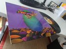 RECREATION PROG. KILLER 1972 BELGIUM LP IN MINT