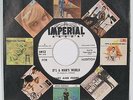 Soul Rhythm Blues 45   MARY ANN FISHER “Man’s World” IMPERIAL demo ‘62 NM SUPERB
