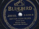 BLUES - WALTER DAVIS 