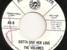 60s Northern Soul - THE VOLUMES - Gotta give her love US AMERICAN ARTS PROMO EX-