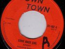 DANDY/SKINHEAD REGGAE/DOWNTOWN 45/COMEBACK GIRL - SHAKE ME WAKE ME  EX+  RARE 