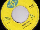 LLOYD CLARKE/SKINHEAD REGGAE/BLUE CAT 45/YOUNG LOVE - WALL FLOWER  EX+  RARE 