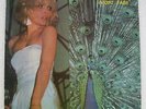Blondie  - Front Page -  LIVE Double LP w/ an early, different, 