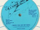 Steve Jones/Fat Boys 