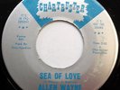 ALLEN WAYNE 45 Sea Of Love / No CHARTBUSTER label Soul R&B s304