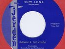 Darwin & The Cupids 45 How Long 1960 Vancouver Washington Vocal Harmony Jerden 1